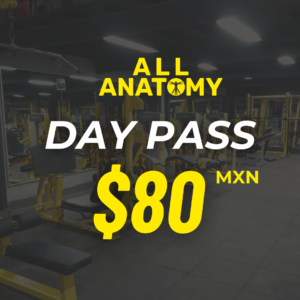 DAY PASS