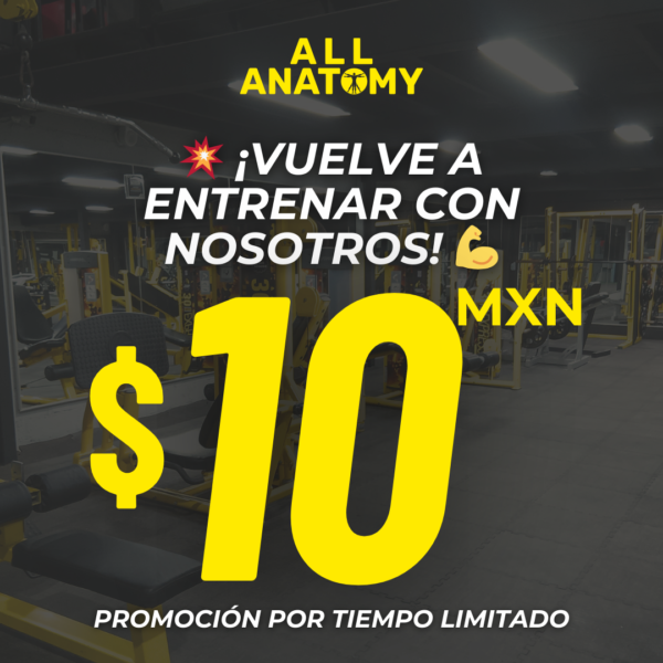 💥 ¡VUELVE A ENTRENAR CON NOSOTROS! 💪